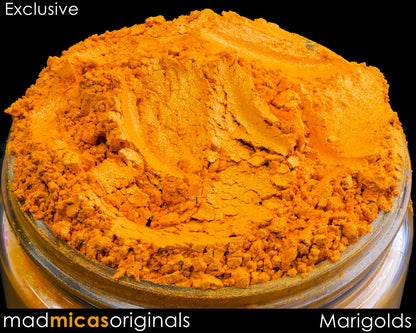 Marigolds Premium Orange Mica Blend