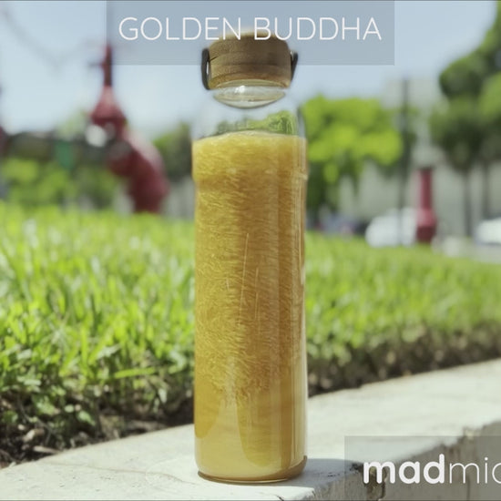 Golden Buddha Mica Swirl Video