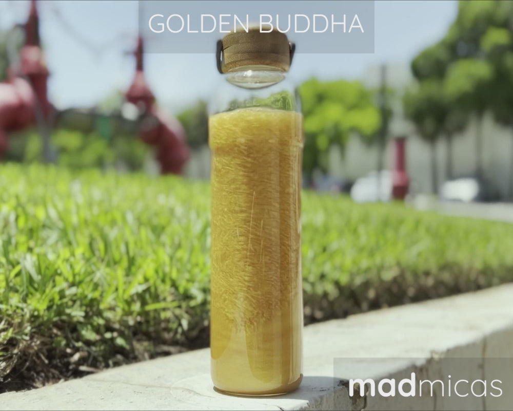 Golden Buddha Mica Swirl Video