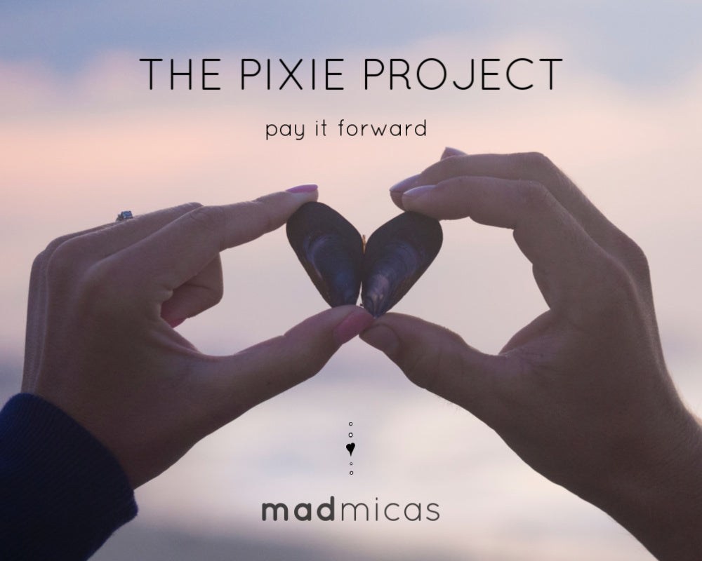 The Pixie Project